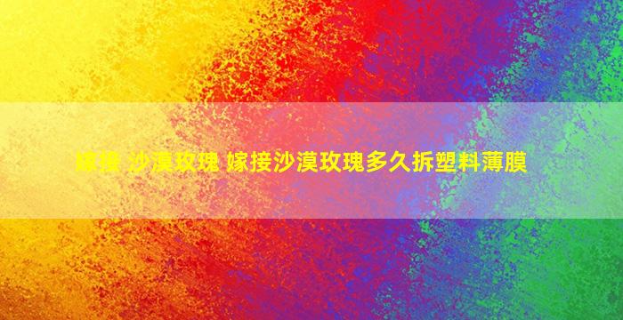 嫁接 沙漠玫瑰 嫁接沙漠玫瑰多久拆塑料薄膜